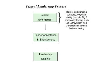 Typical Leadership Process