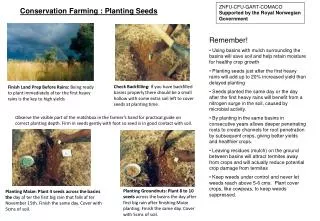 Conservation Farming : Planting Seeds