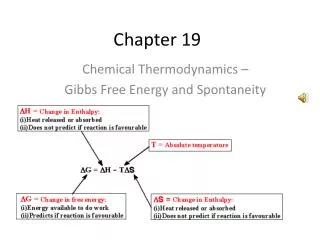 chapter 19