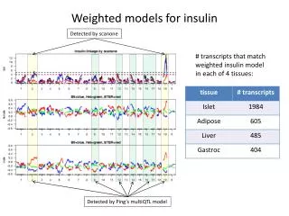 Weighted models for insulin