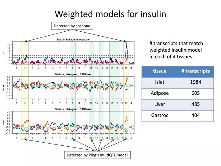 weighted models for insulin
