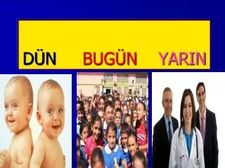 d n bug n yarin