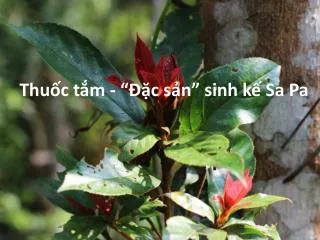 thu c t m c s n sinh k sa pa