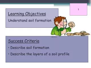 Learning Objectives Understand soil formation Success Criteria Describe soil formation