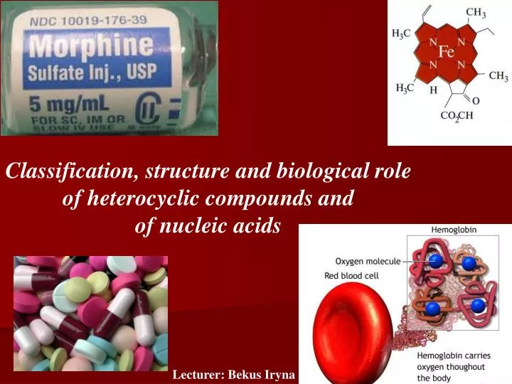 classification structure and biological role of heterocyclic compounds and of nucleic acids