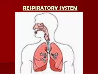 RESPIRATORY SYSTEM