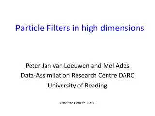 Particle Filters in high dimensions