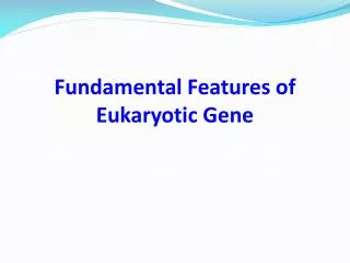 Fundamental Features of Eukaryotic Gene
