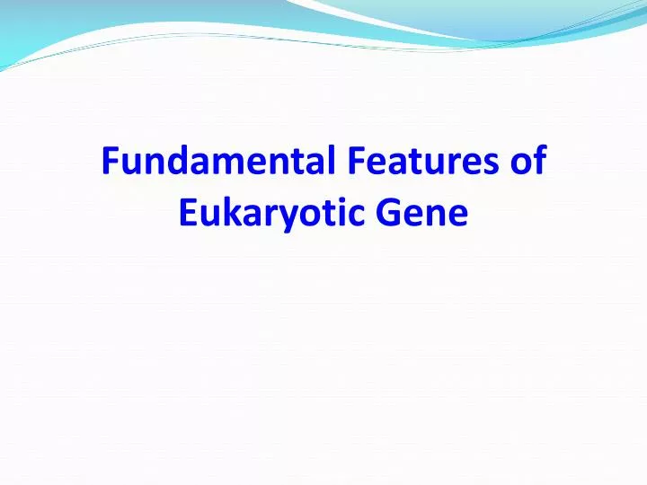 fundamental features of eukaryotic gene