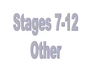 Stages 7-12 Other