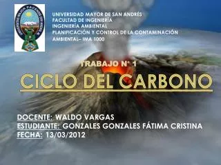 ciclo del carbono
