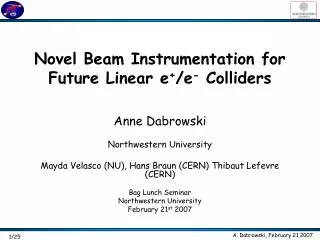Novel Beam Instrumentation for Future Linear e + /e - Colliders