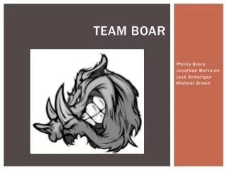 TEAM BOAR