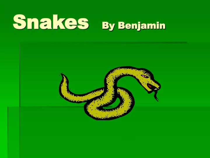 snakes by benjamin
