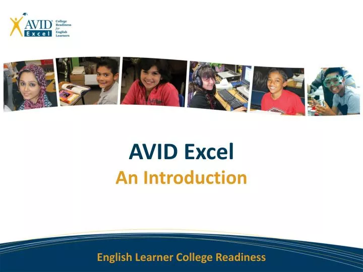 avid excel