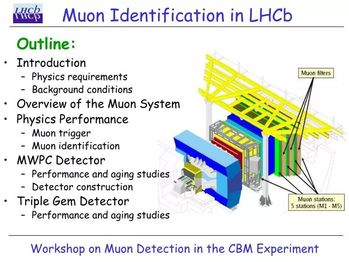 muon identification in lhcb
