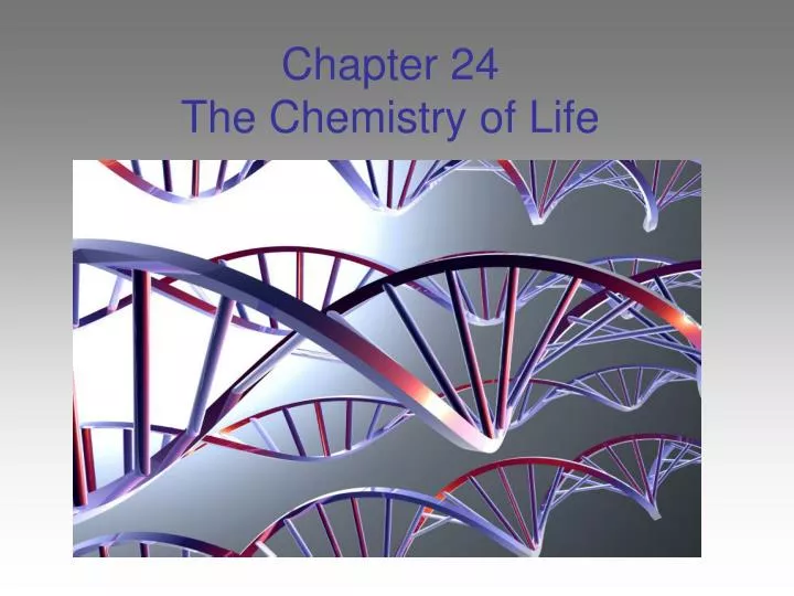 chapter 24 the chemistry of life