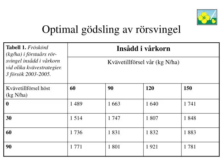 optimal g dsling av r rsvingel