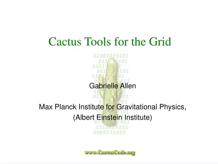 cactus tools for the grid