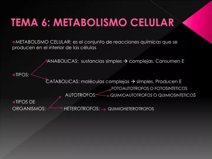 tema 6 metabolismo celular