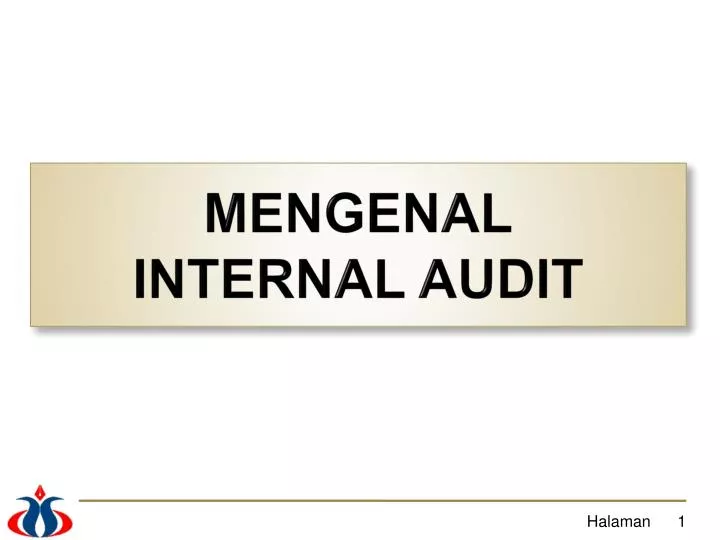 mengenal internal audit