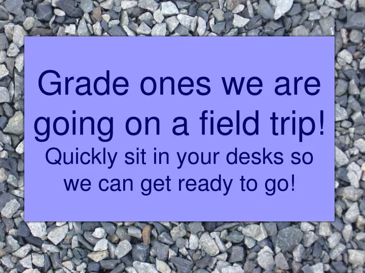 grade ones we are going on a field trip quickly sit in your desks so we can get ready to go