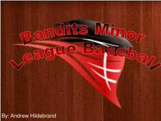 Bandits Minor League Baseball