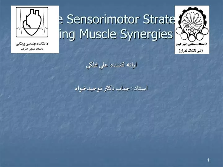 flexible sensorimotor strategies using muscle synergies