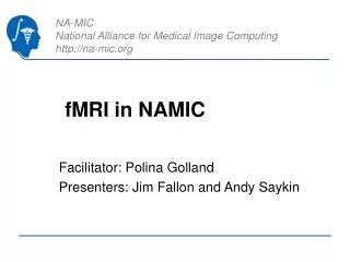 fMRI in NAMIC