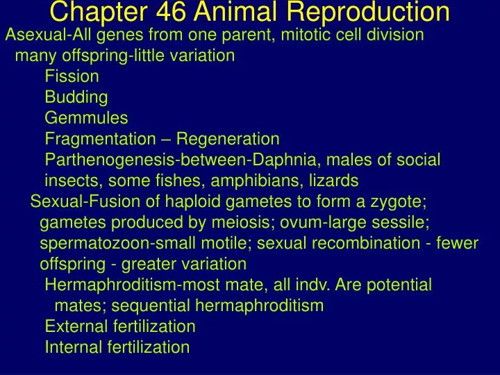 chapter 46 animal reproduction