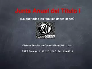junta anual del t tulo i