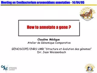 How to annotate a gene ?