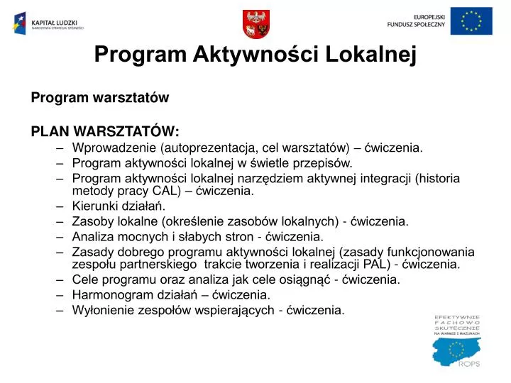 program aktywno ci lokalnej