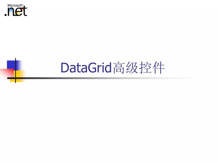 datagrid