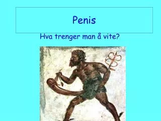 penis