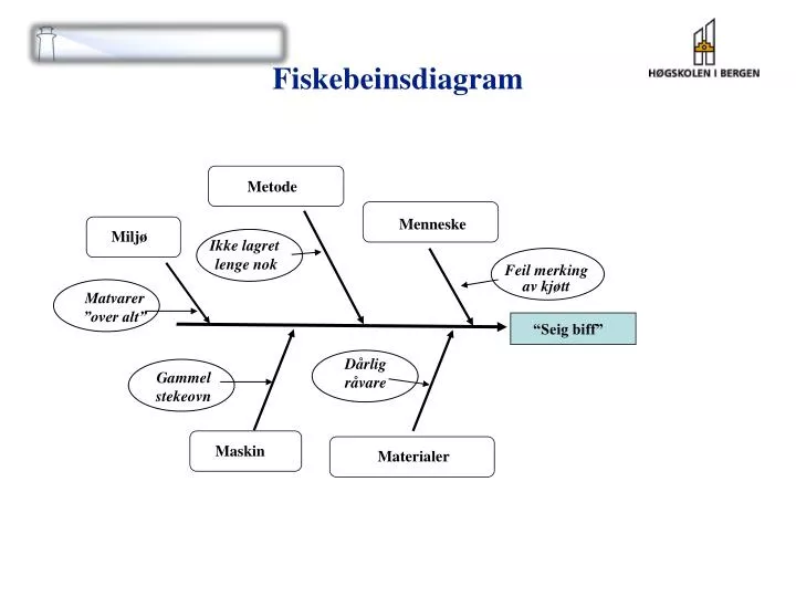 fiskebeinsdiagram