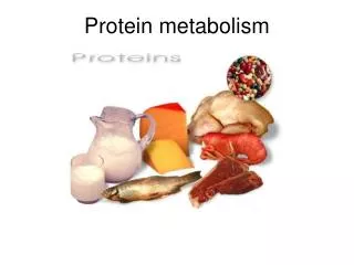 Protein metabolism