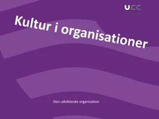 kultur i organisationer