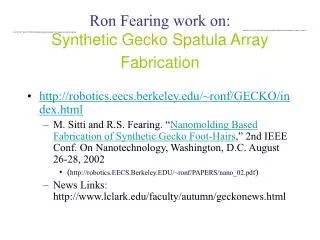 Ron Fearing work on: Synthetic Gecko Spatula Array Fabrication