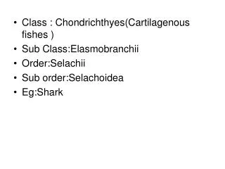 Class : Chondrichthyes(Cartilagenous fishes ) Sub Class:Elasmobranchii Order:Selachii