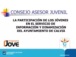 consejo asesor juvenil