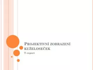 projektivn zobrazen ku elose ek