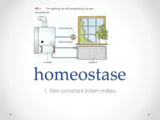 homeostase