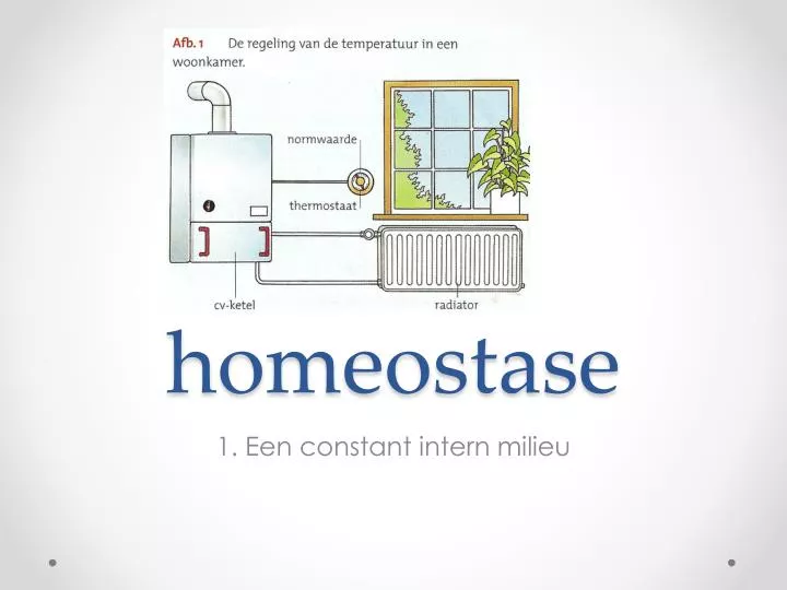 homeostase