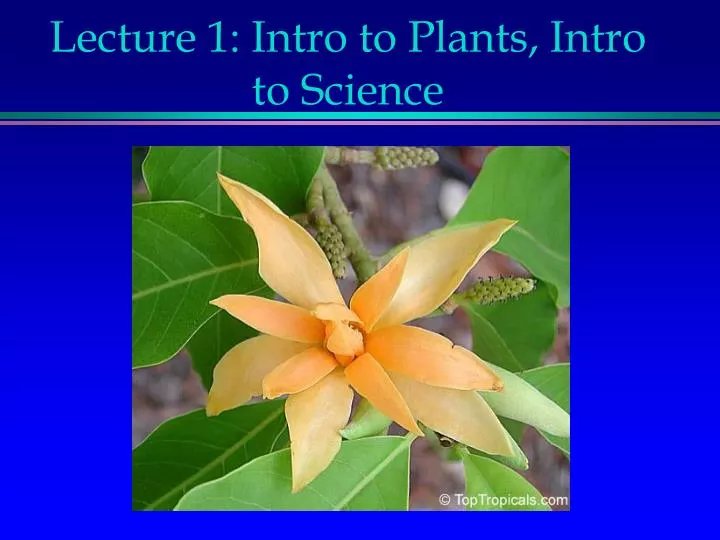 lecture 1 intro to plants intro to science