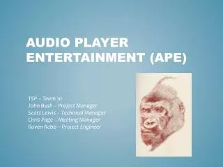 Audio Player Entertainment (APE)