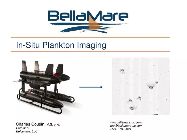in situ plankton imaging