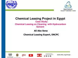 Ali Abo Sena Chemical Leasing Expert, ENCPC