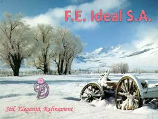F.E. Ideal S.A.