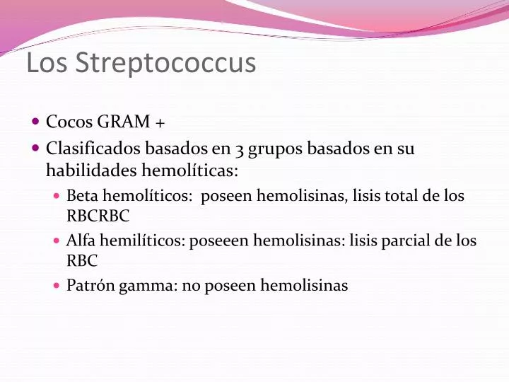los streptococcus